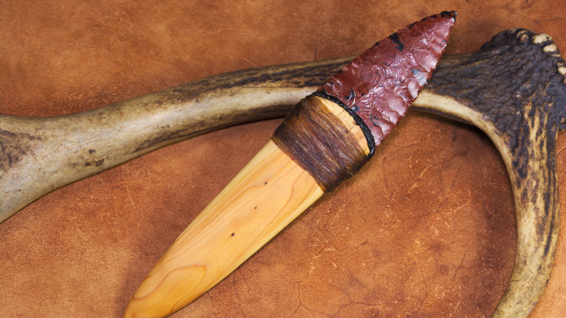C1116b